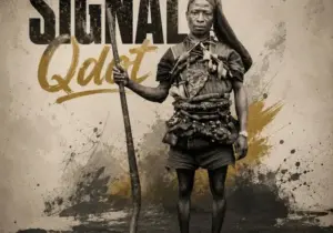 Qdot – Signal