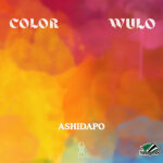 Ashidapo - Color