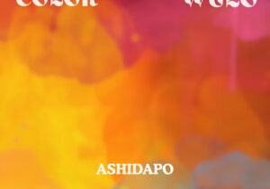 Ashidapo - Color