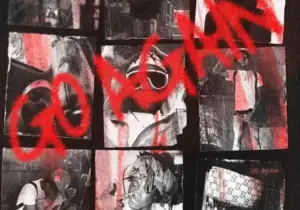 Zaylevelten – Go Again